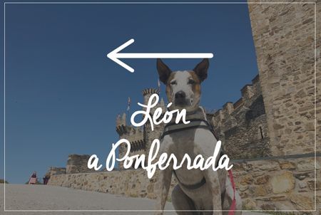 Alojamientos que admiten perro de León a Ponferrada Alojamientos que admiten perro de León a Ponferrada