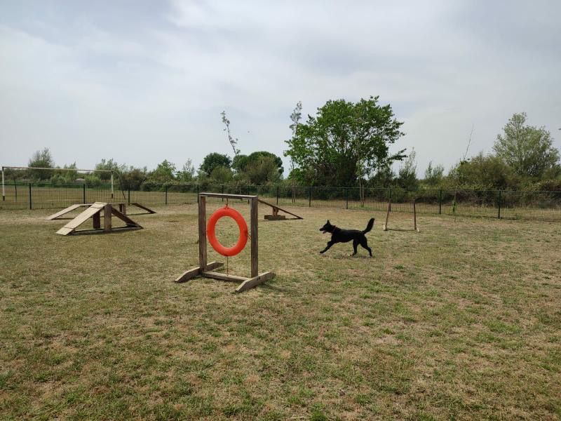 camping castell mar zona de agility