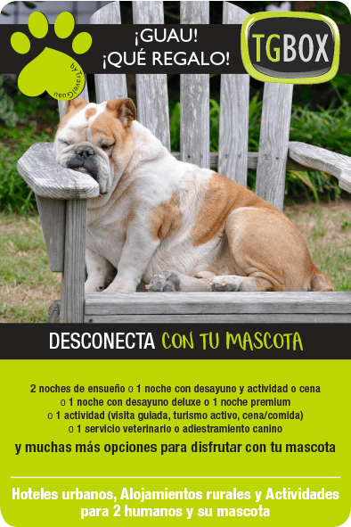 TGBOX cajas de experiencias para humanos y mascotas desconecta
