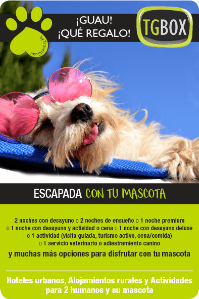 TGBOX cajas de experiencias para humanos y mascotas escapada