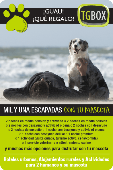 TGBOX cajas de experiencias para humanos y mascotas mil y una escapadas