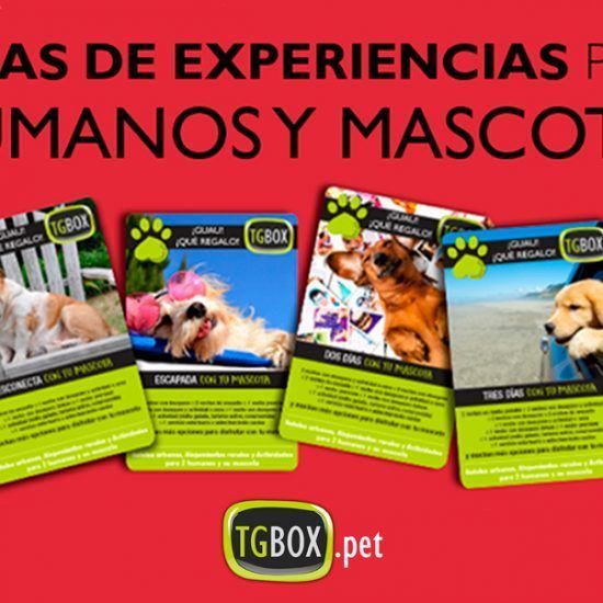 TGBOX cajas de experiencias para humanos y mascotas