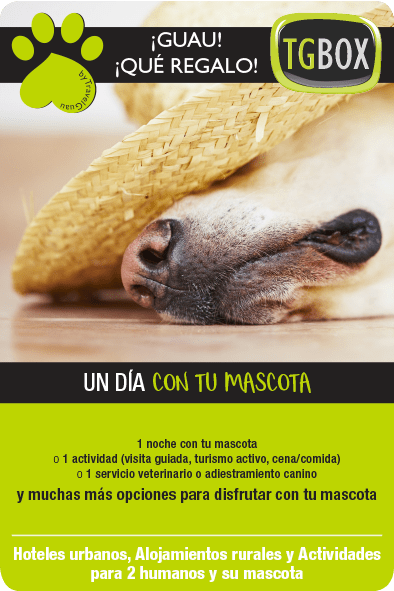TGBOX cajas de experiencias para humanos y mascotas un día con tu mascota
