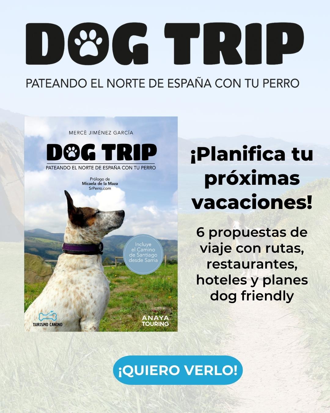 POP UP 1080×1350 DOG TRIP