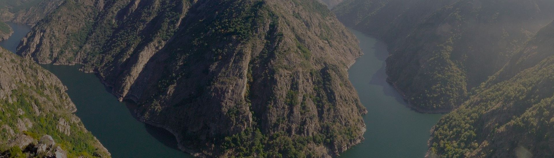 Viajar a Galicia con perro