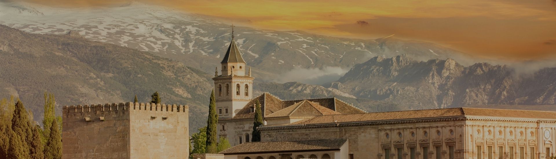granada con perro portada