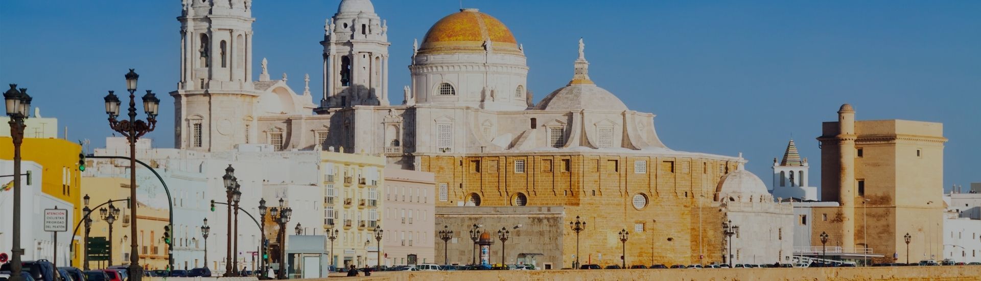 cádiz con perro portada