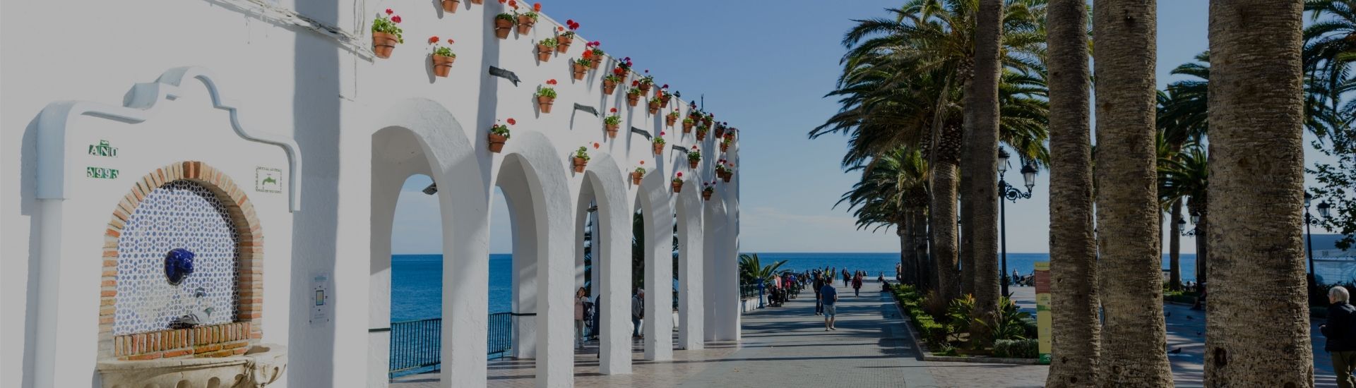 viajar a andalucía con perro