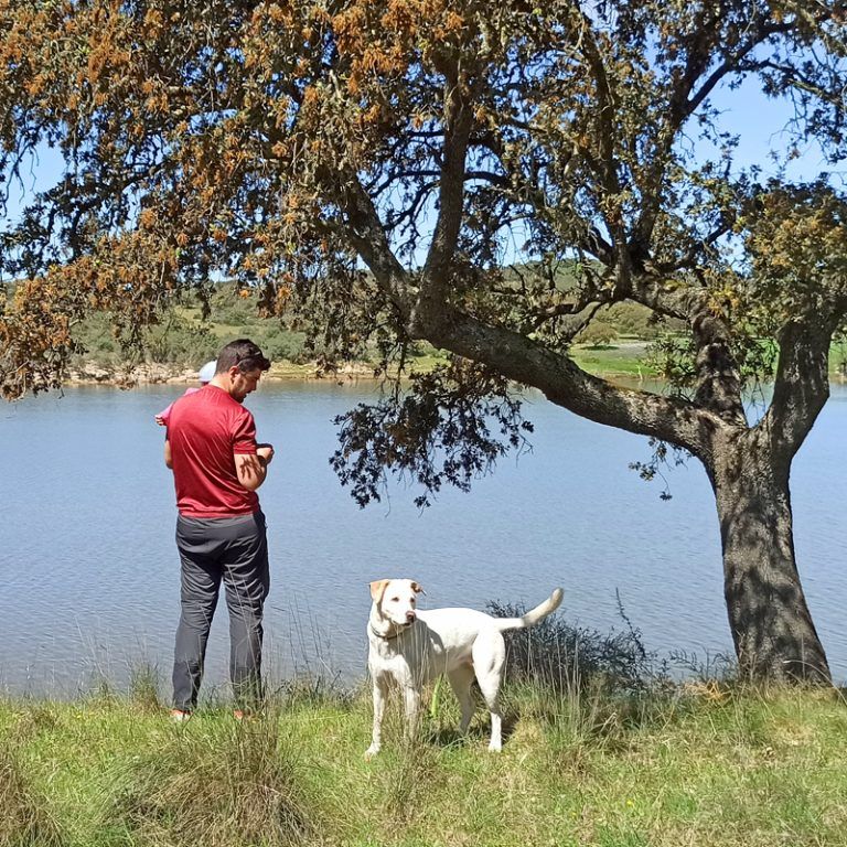 8 Planes Para Hacer En Valencia Con Perro Turismo Canino 8-planes-para-hacer-en-valencia-con-perro-turismo-canino