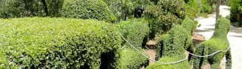el bosque encantado destacada