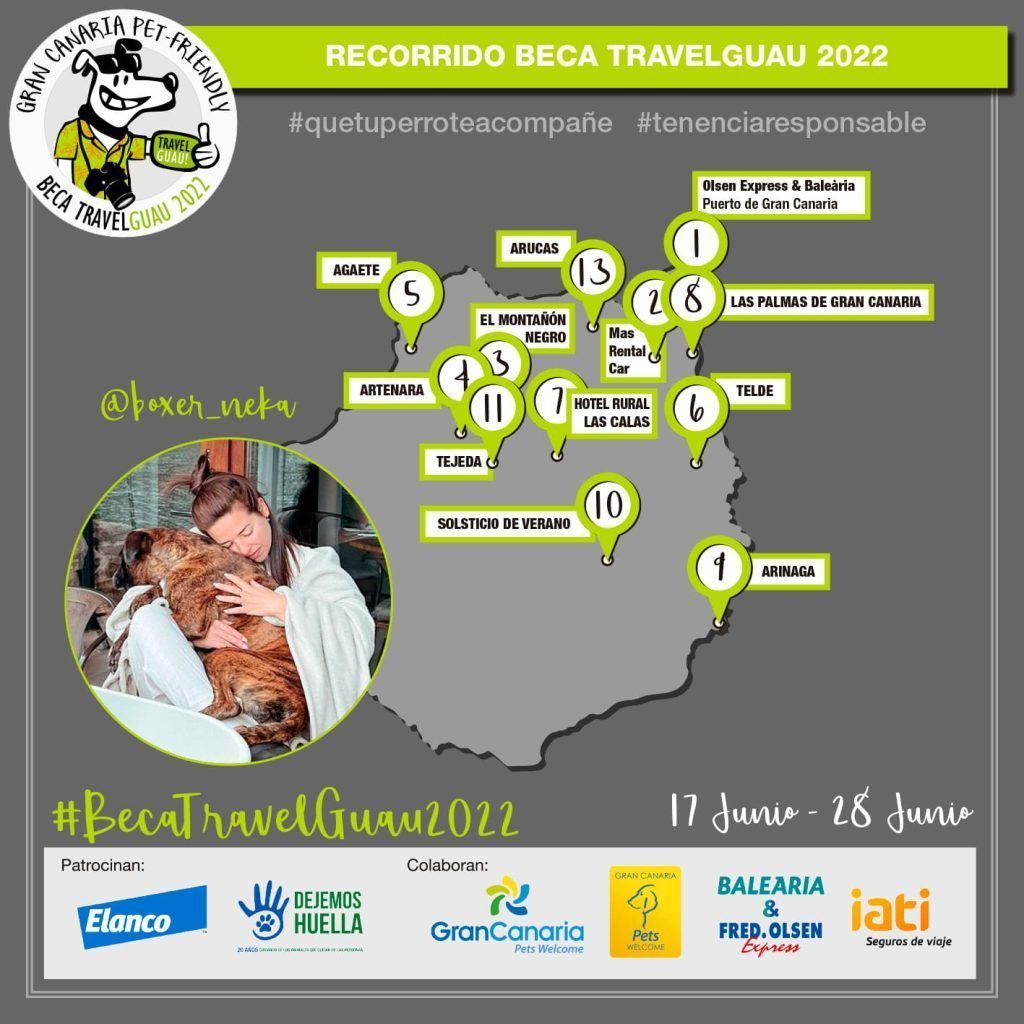 7 días en gran canaria con perro beca travelguau