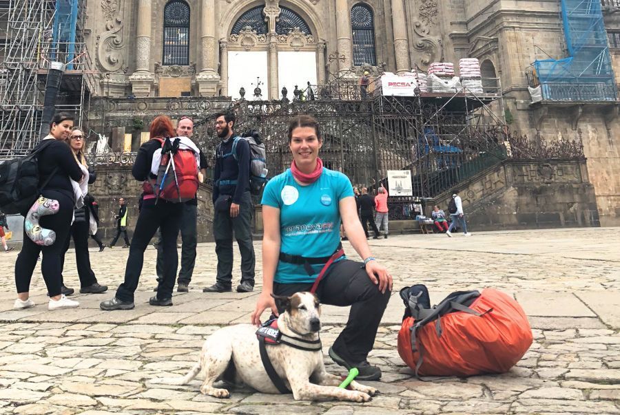 volver de Santiago a Sarira con perro Una chica y un perro, frente a la Catedral De Santiago, acaban de finalizar el Camino De Santiago