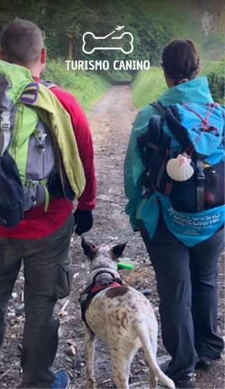 turismo-canino-nosotros