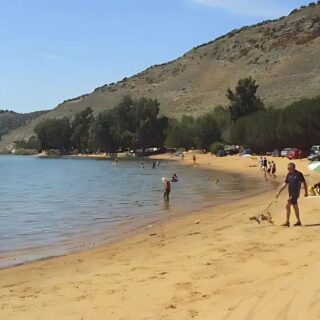 playas para perros en Córdoba un hombre paseando a un perro en una playa